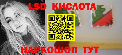шишки Будённовск