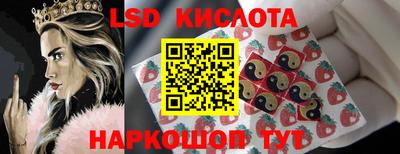 шишки Будённовск