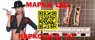 шишки Будённовск